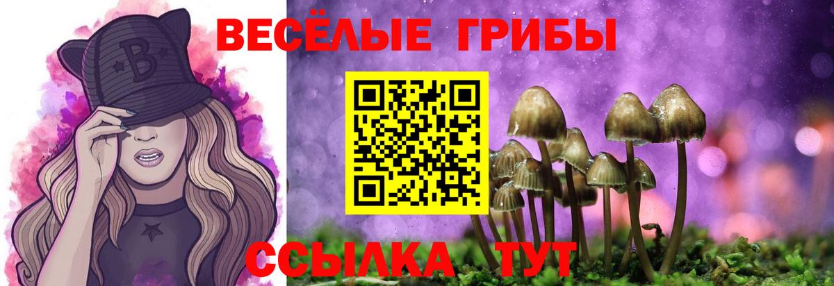 наркошоп  Галлюциногенные грибы Cubensis  Вход с VPN  Михайловка 